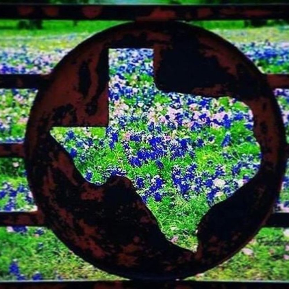 Meet your Posher, SD